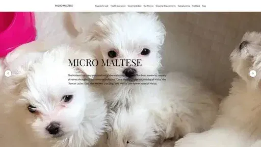 Screenshot of