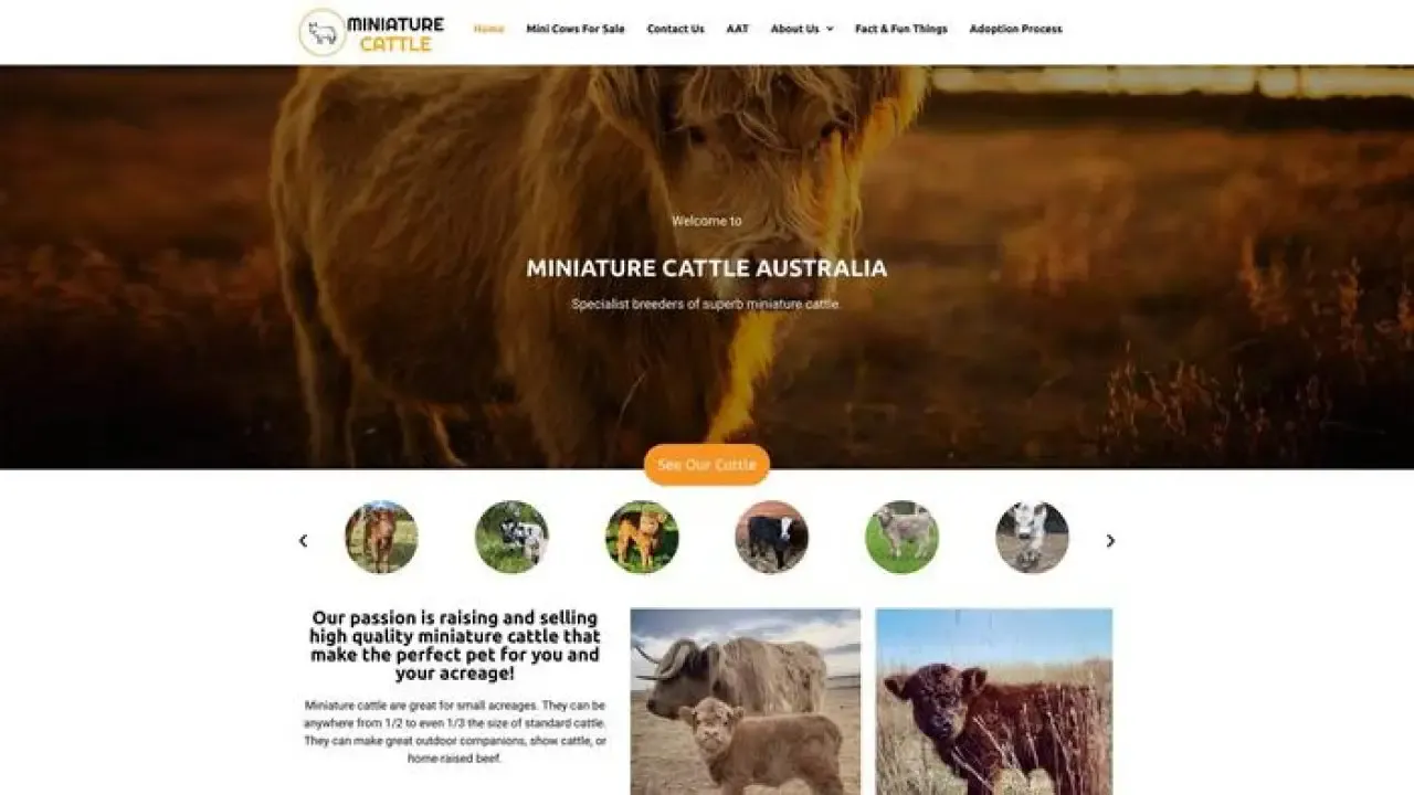Screenshot of||