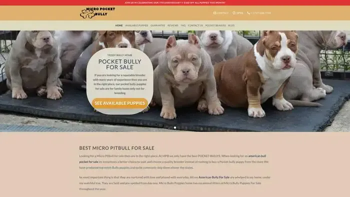 Screenshot of