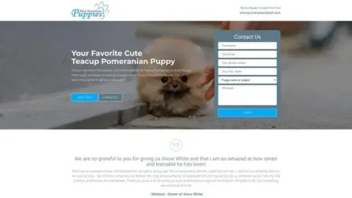 Screenshot of