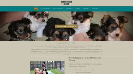Screenshot of