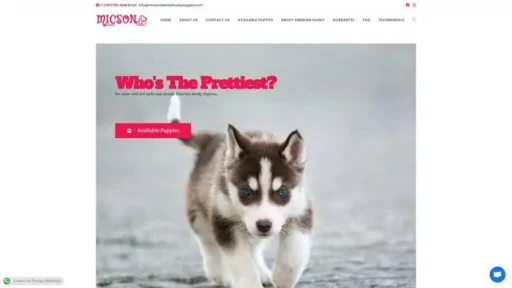 Screenshot of