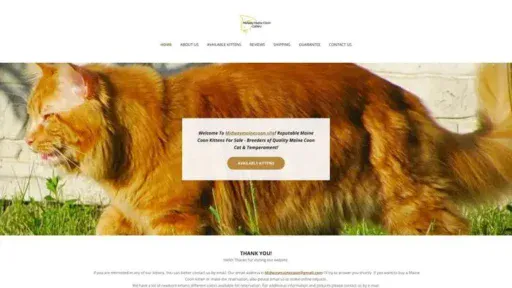 Screenshot of