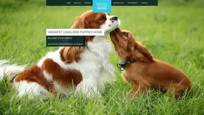Screenshot of