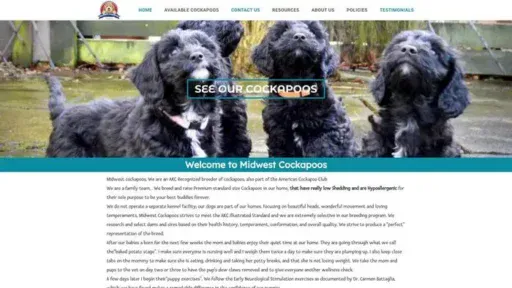 Screenshot of