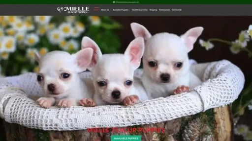 Screenshot of