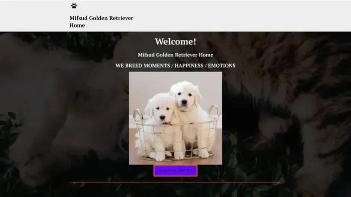 Screenshot of