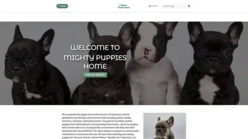 Screenshot of||