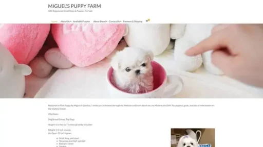 Screenshot of