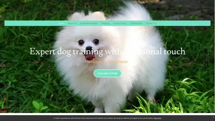 Screenshot of