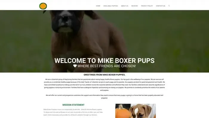Screenshot of