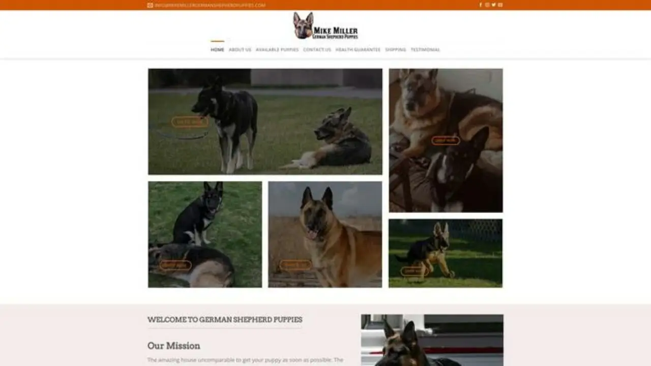 Mikemillergermanshepherdpuppies