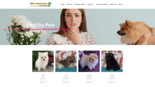 Screenshot of
