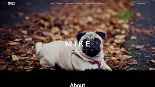 Screenshot of