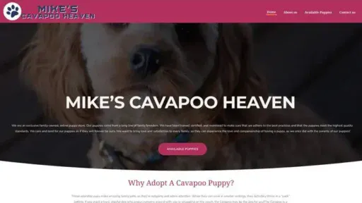 Screenshot of