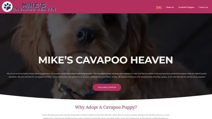 Screenshot of