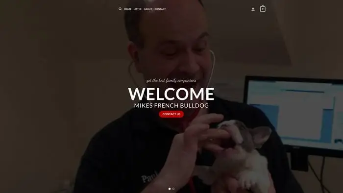 Screenshot of