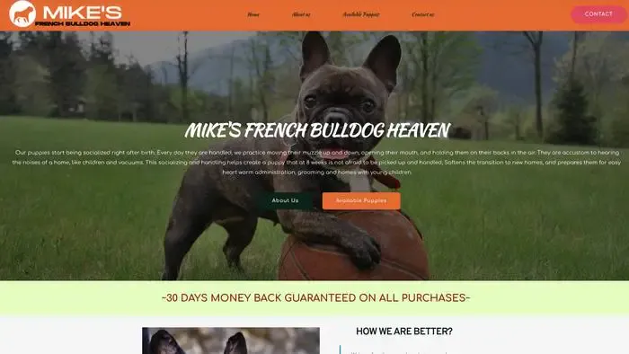 Screenshot of