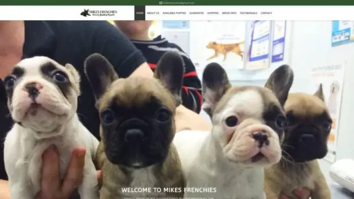 Screenshot of