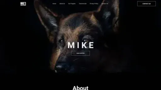 Screenshot of