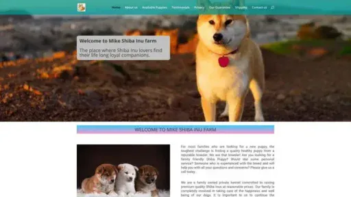 Screenshot of
