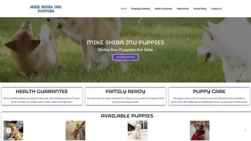 Screenshot of