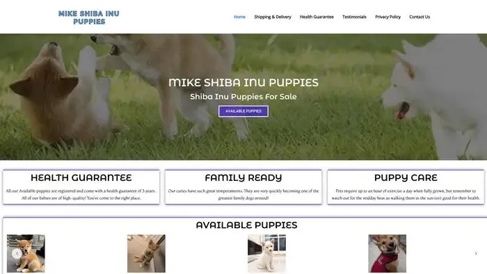Screenshot of