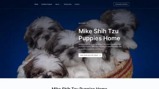 Screenshot of