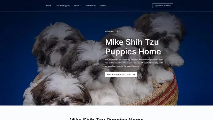 Screenshot of