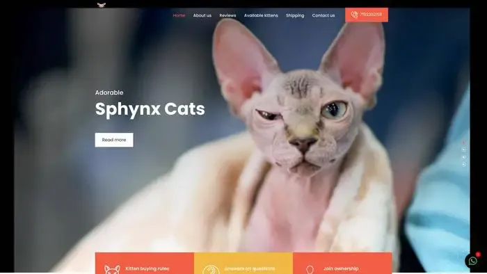 Screenshot of
