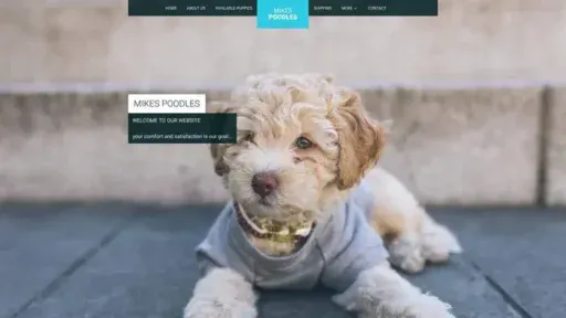 Screenshot of
