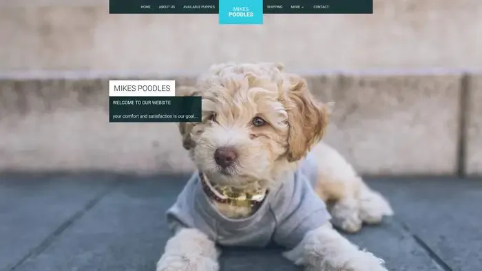 Screenshot of