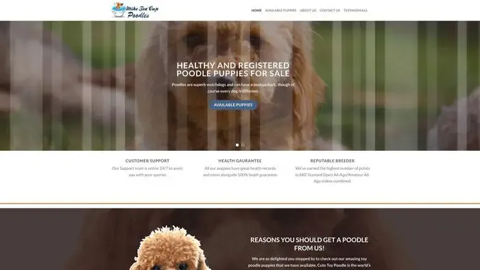 Screenshot of