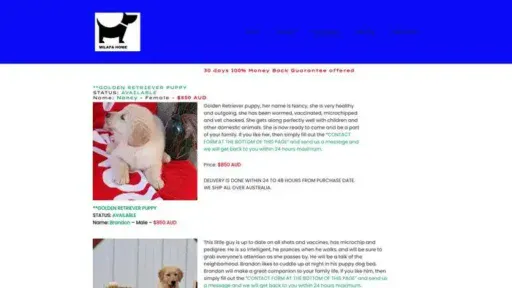 Screenshot of