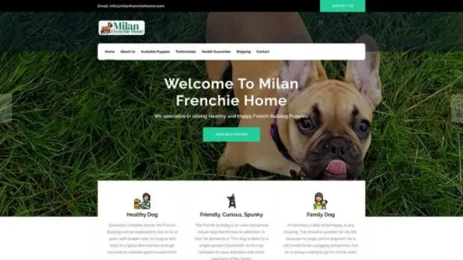 Screenshot of