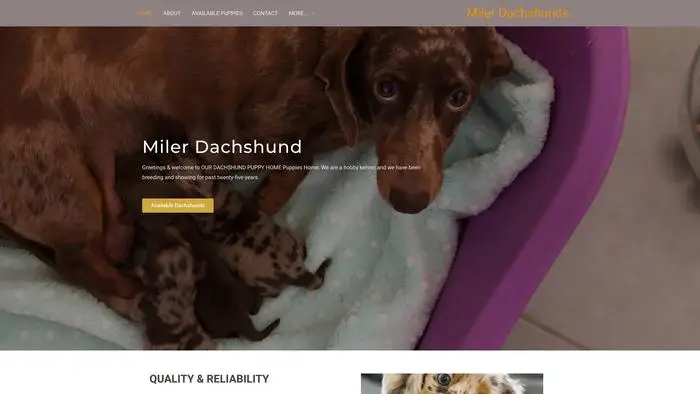 Screenshot of