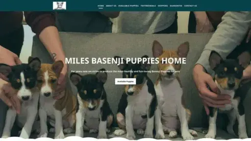 Screenshot of