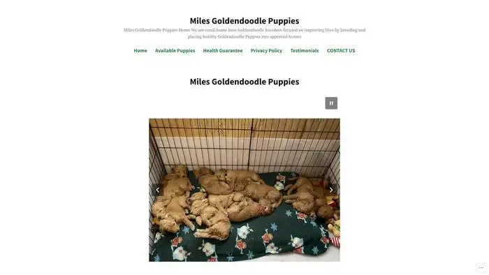 Screenshot of