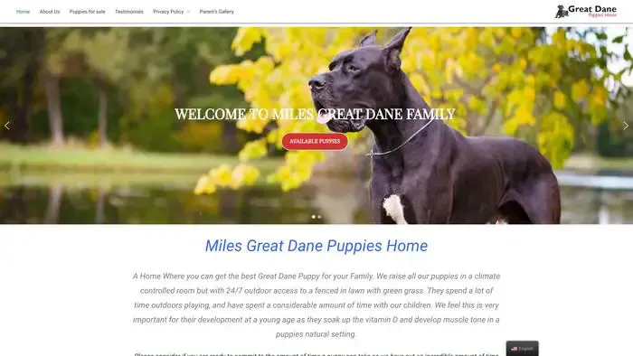 Screenshot of