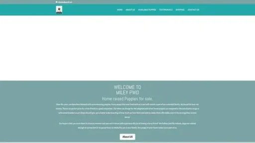 Screenshot of