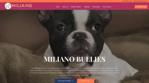 Screenshot of