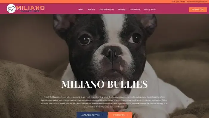 Screenshot of