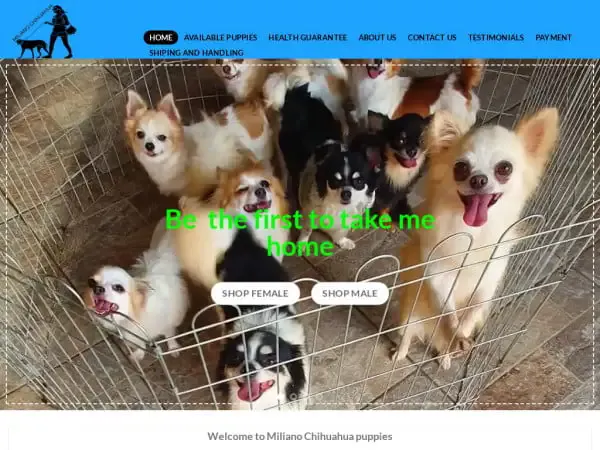 Screenshot of