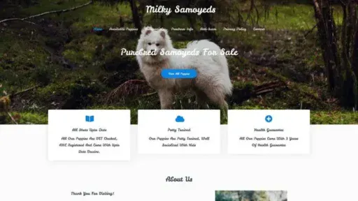 Screenshot of