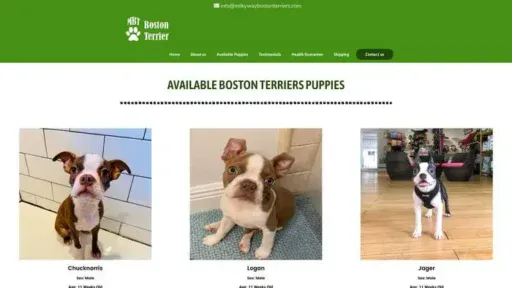 Screenshot of