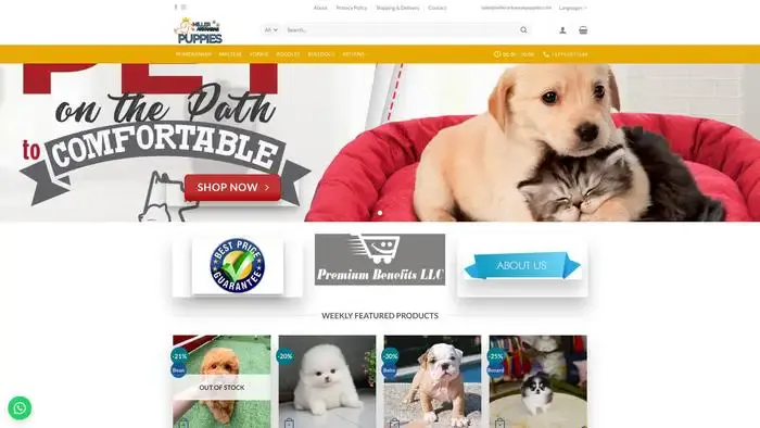 Screenshot of