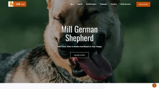 Screenshot of