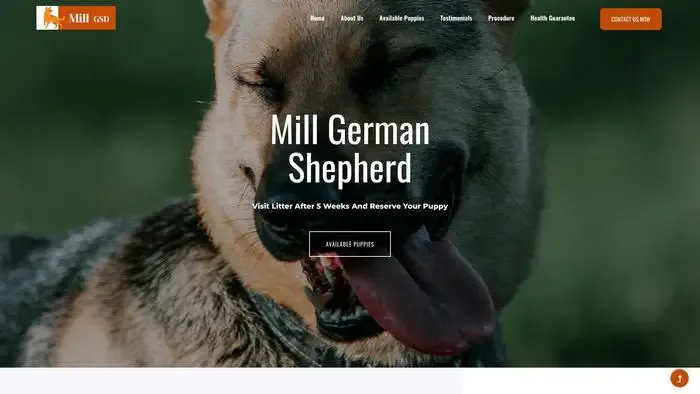 Screenshot of