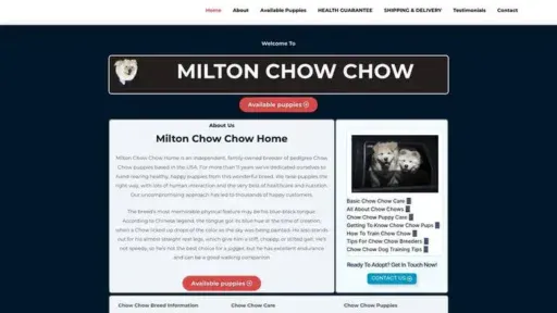 Screenshot of