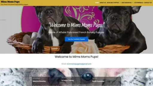 Screenshot of